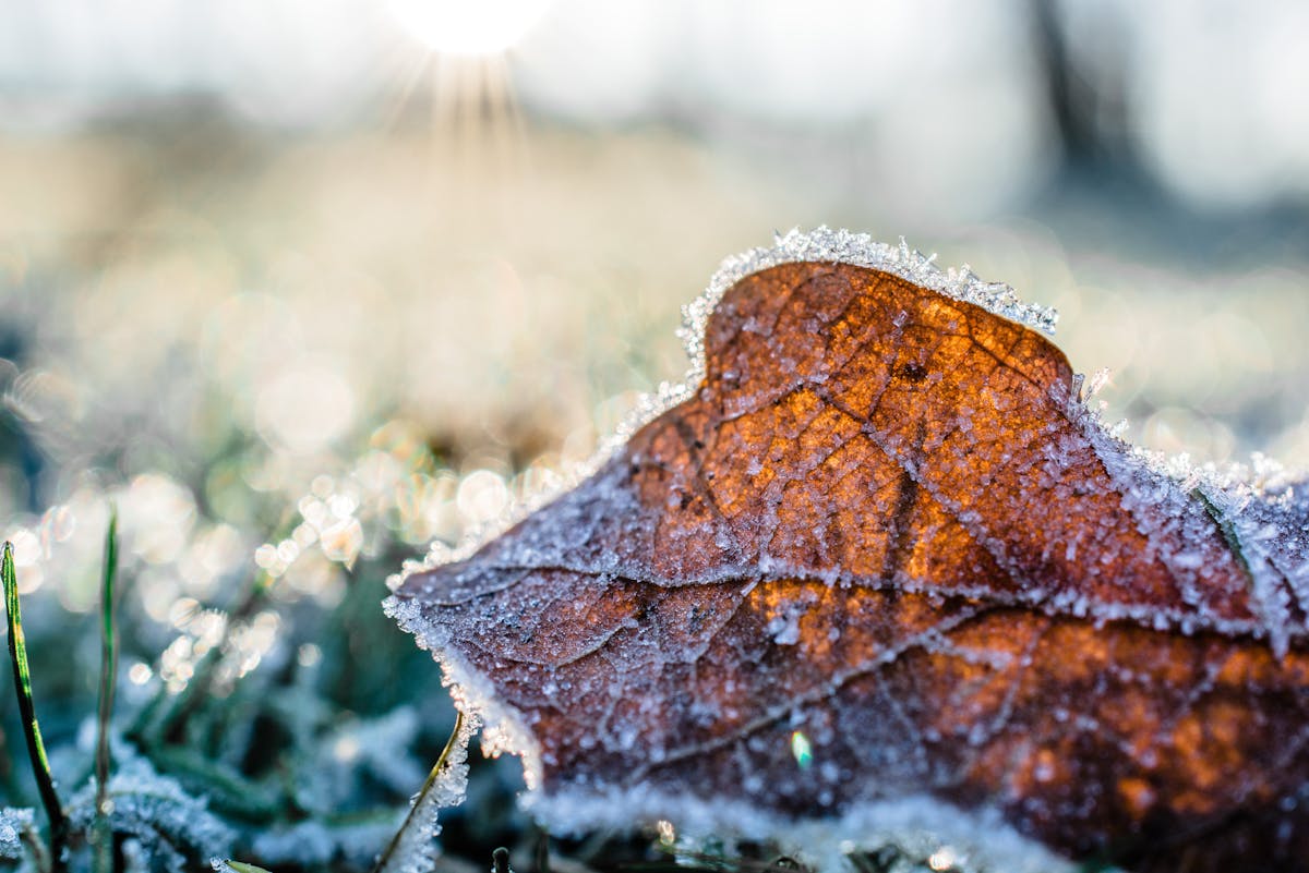 Welche Maßnahmen helfen gegen Frostschäden bei Wasserleitungen im Außenbereich